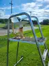 Lot (5)  Life Guard High Rise Chair Stands