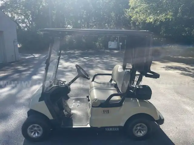 Lot of (25) 2018 Yamaha Gas Golf Carts