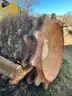 2017 Bomag BC1172RB Padfoot Compactor