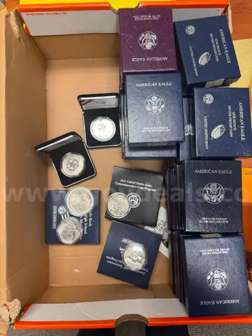 44 Individual Silver Coins (35 1ozt .999 & 9 90% silver coins)