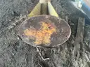 Hoist
