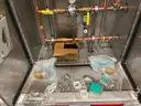 Mobile Oxygen Delivery System