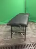 Pegasus Earthlite Portable Exam Table