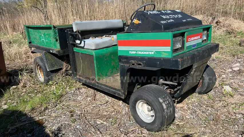 1993 Cushman