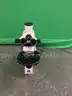 Axioskop Polarized Light Microscope