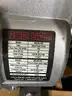 Lot of Approx. (14) Various 2 Inch Pumps