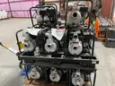Lot of Approx. (14) Various 2 Inch Pumps