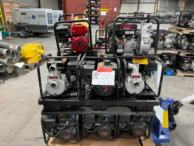 Lot of Approx. (14) Various 2 Inch Pumps