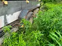 2008 PJ T6222 Trailer