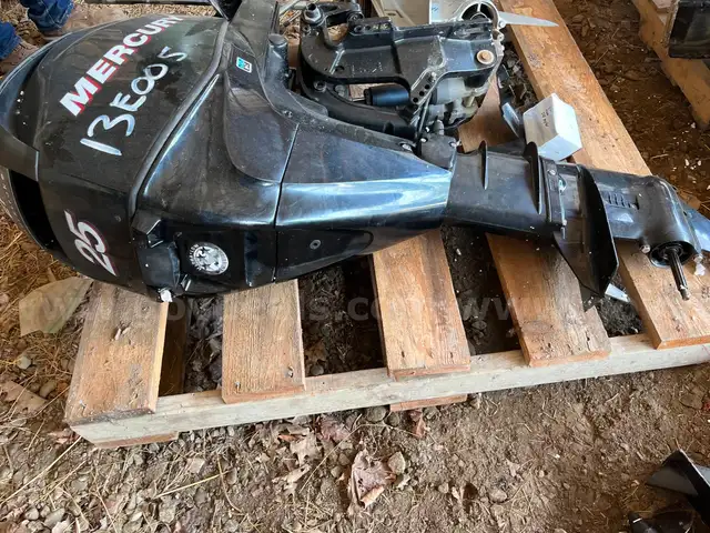 2013 Mercury 1A25413FK Outboard Motor