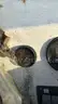 1976 AquaSport Boat &#x26; 1991 Loader Trailer