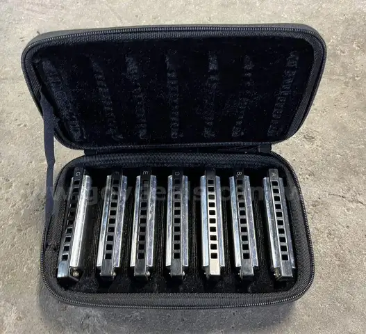 Lot of (7) Bluesband Hohner International Harmonicas in Zipper Case