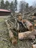 Firewood - 3' to 12' Ash Logs