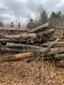 Firewood - 3' to 12' Ash Logs