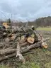 Firewood - 3' to 12' Ash Logs