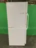 Fisher Scientific Isotemp Freezer