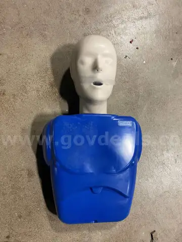 Lot of Approximate (18) Adjustable CPR Mannequins