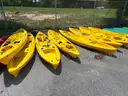 Qty 8 Perception Kayaks, 12FT