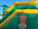 Used Bounce House