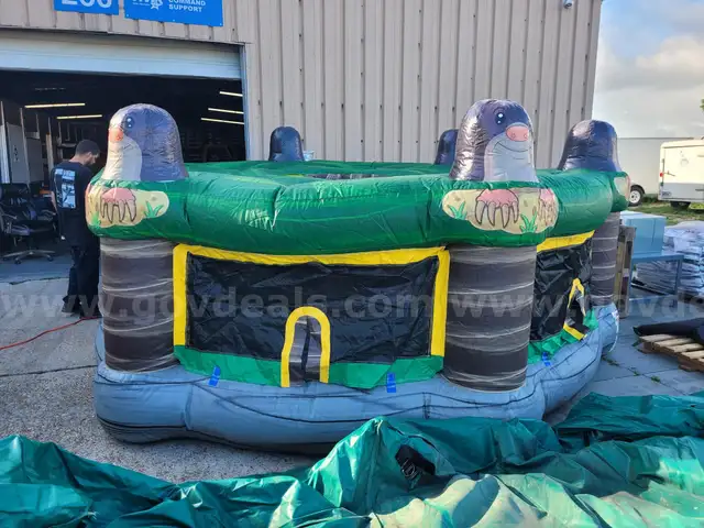 Whack - A- Mole Inflatable