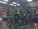 28 FT  DANKEN CHRISTMAS TREE