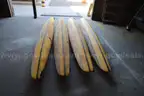 Lot of 2 Hydro Water Bikes