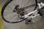Trek Mountain Bike