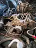 Barn find!! 1957 Cadillac Coupe Deville