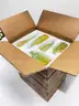 Brand New - 20pcs Colored Small Glass Vases for Centerpieces - Shipping Available