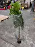 Brand New - Artificial Windmill Palm Tree 47 inch - Shipping Available