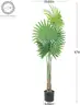 Brand New - Artificial Windmill Palm Tree 47 inch - Shipping Available