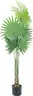 Brand New - Artificial Windmill Palm Tree 47 inch - Shipping Available