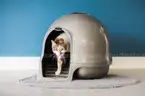 Brand New - Petmate Booda Clean Step Cat Litter Box Dome - Shipping Available