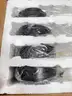 Brand New - DELIPUSHI Ceiling Light 8-Black 88W 48 Inch - Shipping Available