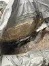 Lot of 5 Authentic Military Army Backpacks - Shipping Available
