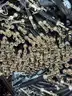 Brand New - Lot of 50 Pet Training Stainless Steel Clicker Whistle Ultrasonic, Black - Shipping Available