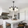 Brand New - Modern Farmhouse Black Frosted Glass Chandelier Rustic 6 Lights - Shipping Available