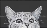 Brand New - Cat Door Welcome Mat - Outdoor Entrance, Durable Doormat for Indoors &#x26; Outdoors, 17&#x22;x29&#x22;- Shipping Available