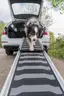 Brand New - Heavy Duty 69&#x22; Telescoping Pet Ramp, Lightweight Aluminum, Extra Long - Shipping Available