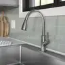 Brand New -  Elkay Single Hole Kitchen Faucet with Pull-down Spray - Shipping Available