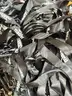 Brand New - Lot of 50 Pet Training Stainless Steel Clicker Whistle Ultrasonic, Black - Shipping Available