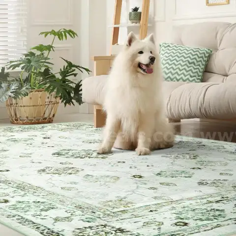 Brand New - 3'x5' Rugs for Living Room, Washable Vintage Floral Bedroom Rug, Non-Slip, Green - Shipping Available