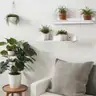 Brand New - 3 Pack Floating Shelves for Wall, 15"x5" Wall Mounted Plant Wood Shelves for Bedroom - Shipping Available