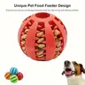 Brand New - Lot of 50 Teeth Cleaning Durable Natural Rubber Pet Chew Balls, Orange - Shipping Available