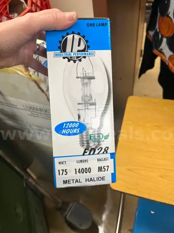 Light Bulbs