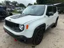 2017 Jeep Renegade DESERTHAWK 4X4