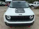 2017 Jeep Renegade DESERTHAWK 4X4