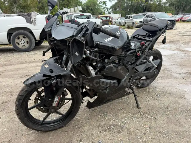 2009 Kawasaki Ninja 250R
