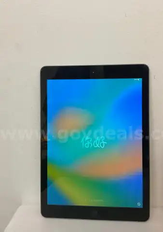 LOT OF 10 IPADS 6   32GB SPACE GRAY