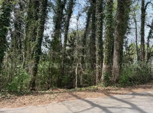 Shotwell Ln Lot, Rutherford County surplus property